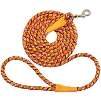 Comforting and Durable Slip Lead Dog Rope Leash Pet Supply with Padded Handle