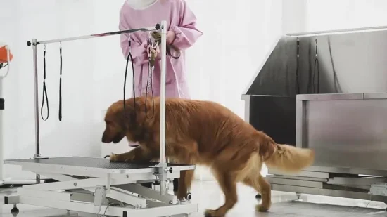 Stainless Steel Animal Pet Dog Grooming Electric Other Veterinary Instrument Lifting Table